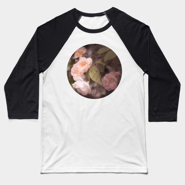 Peach Vintage Roses Circle Sticker Baseball T-Shirt by Amy-K-Mitchell